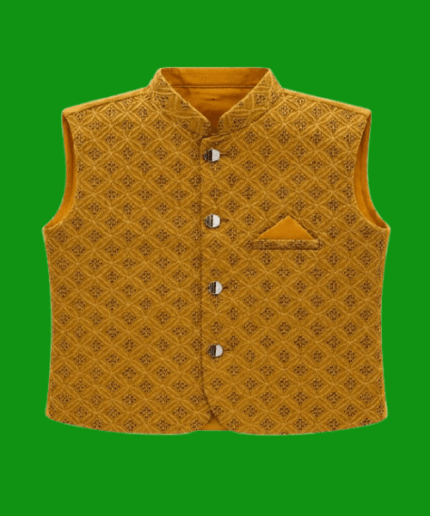 Boys Premium Embroidered Sequin Waistcoat with Golden Buttons 1 To 12 Years (12)