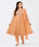 Ladies Fancy Net Maxi Suit - Image 11