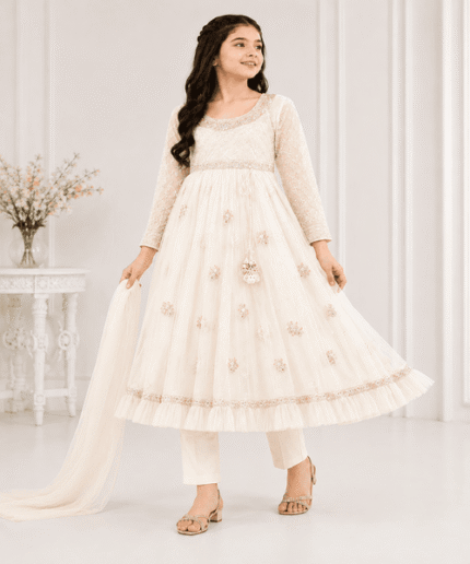 Ladies-Fancy-Net-Maxi-Suit