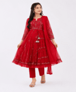Ladies Fancy Net Maxi Suit - Image 6